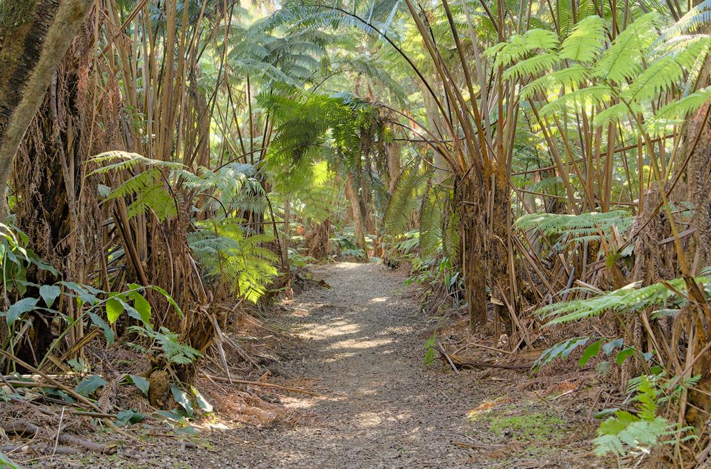 Crater Rim Trail, Hawaiʻi Volcanoes National Park