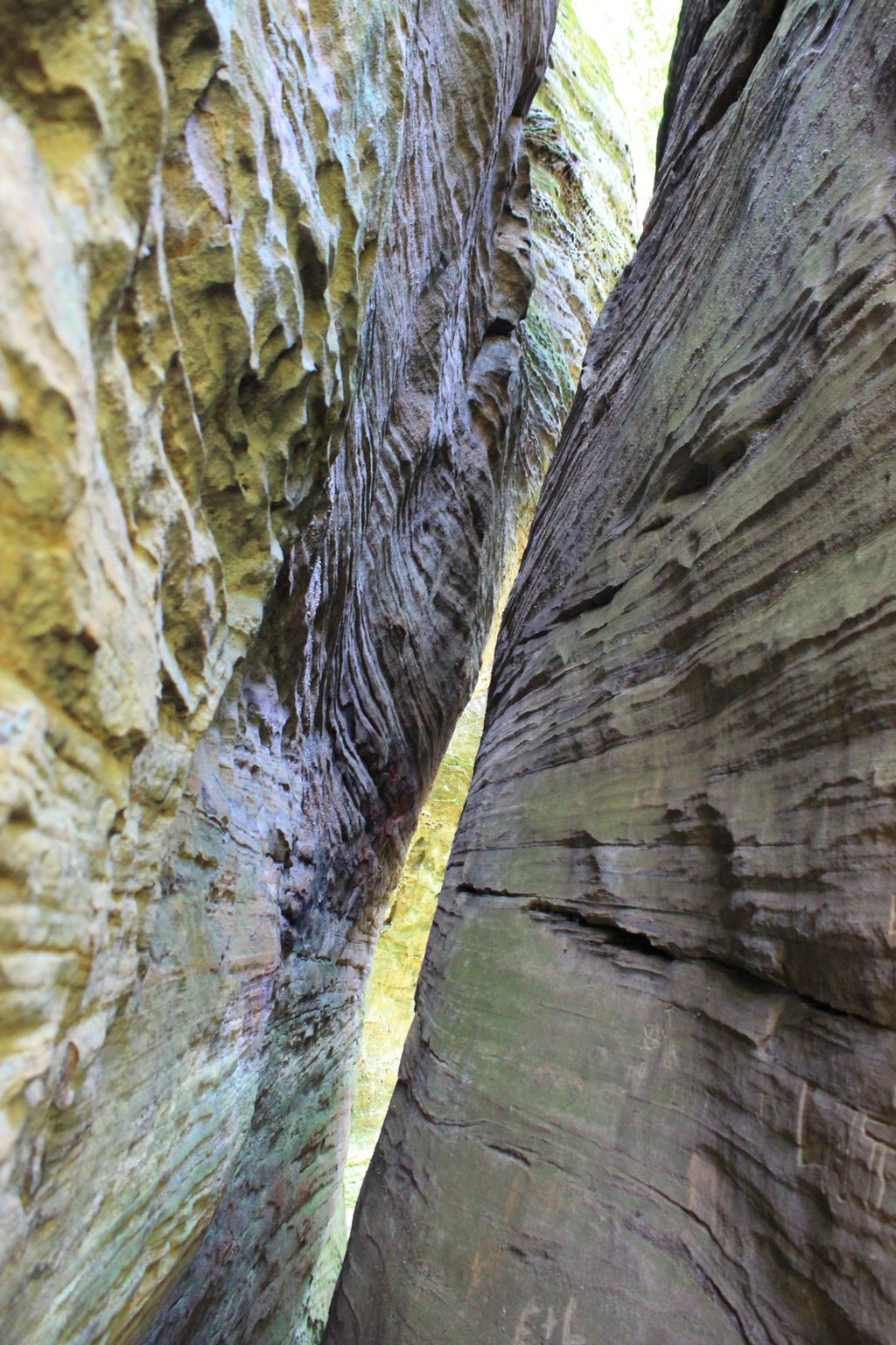 Cantwell Cliffs Loop Trail, Hocking Hills State Park