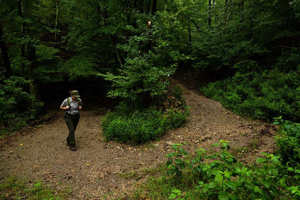 Canyon Trail, Hot Springs National Park