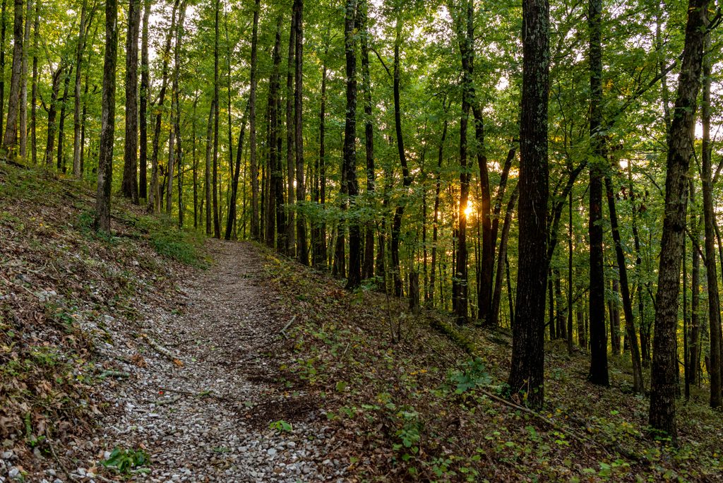 Sunset Trail, Hot Springs National Park