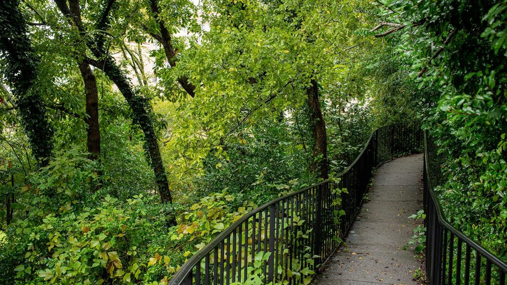 Tufa Terrace Trail, Hot Springs National Park