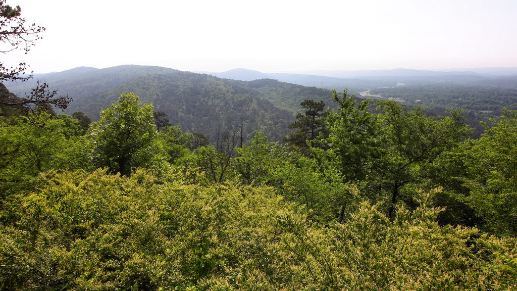 Goat Rock Trail, Hot Springs National Park