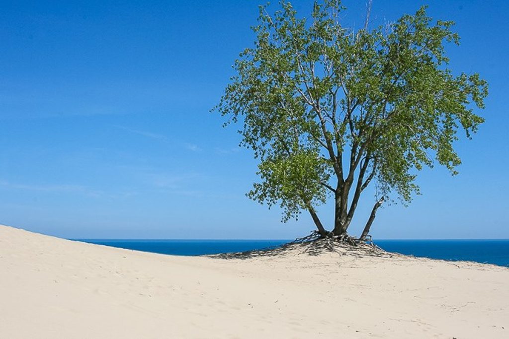 Mount Baldy Summit Trail, Indiana Dunes National Park
