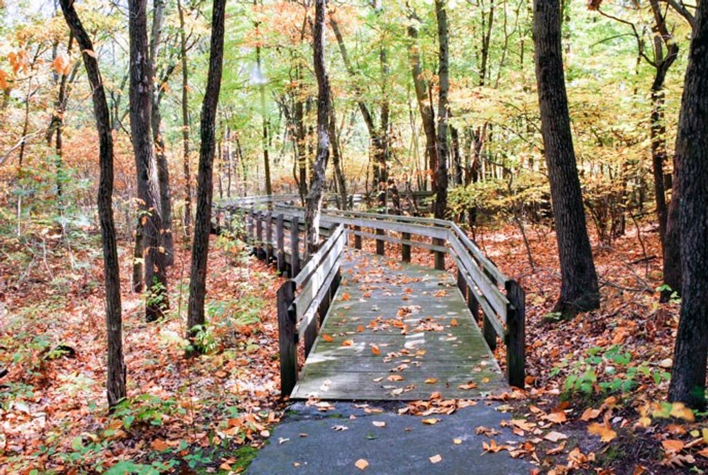 Calumet Dunes Trail, Indiana Dunes National Park