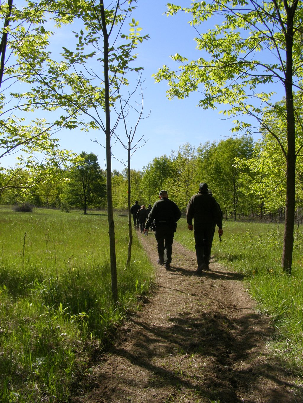 Pinhook Bog Upland Trail, Indiana Dunes National Park