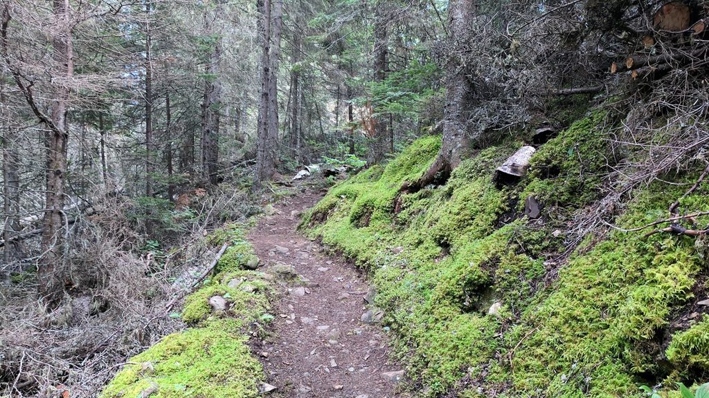 Tobin Harbor Trail, Isle Royale National Park