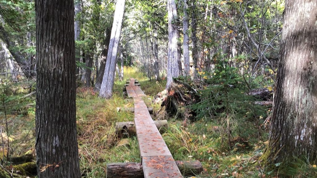 Windigo Nature Trail, Isle Royale National Park