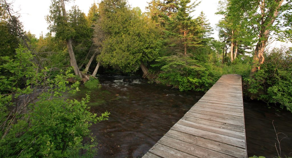 Malone Bay Trail, Isle Royale National Park