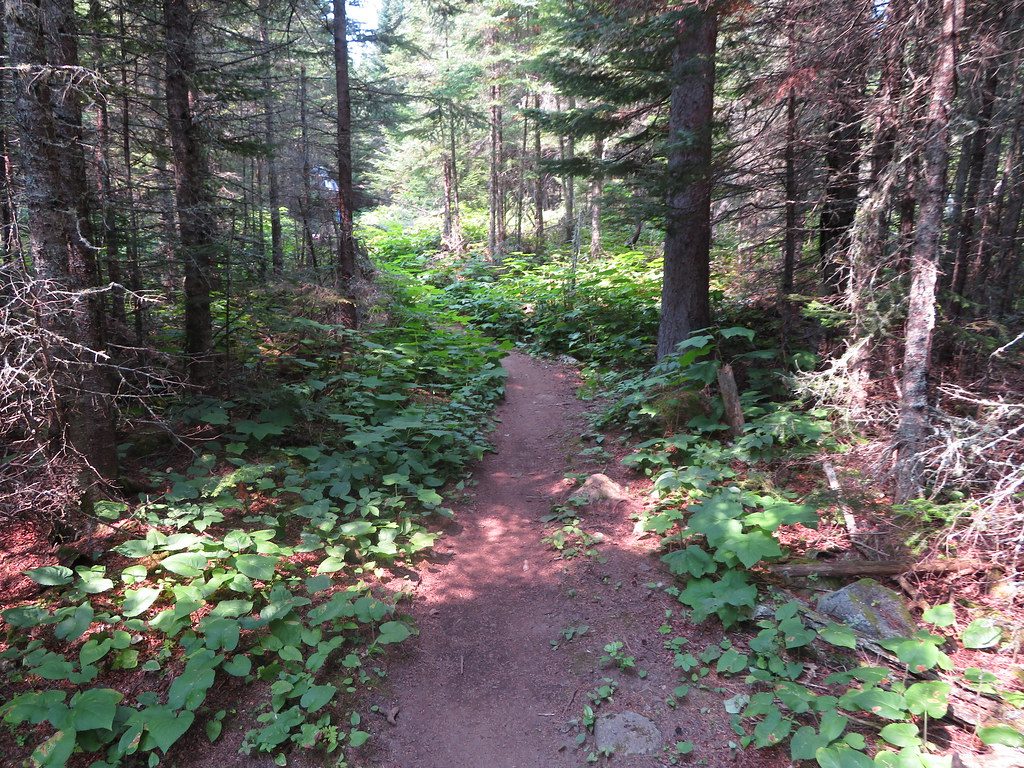 Mount Franklin Trail, Isle Royale National Park