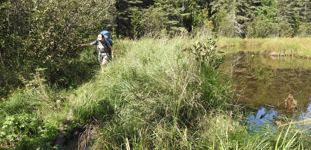 Minong Ridge Trail, Isle Royale National Park