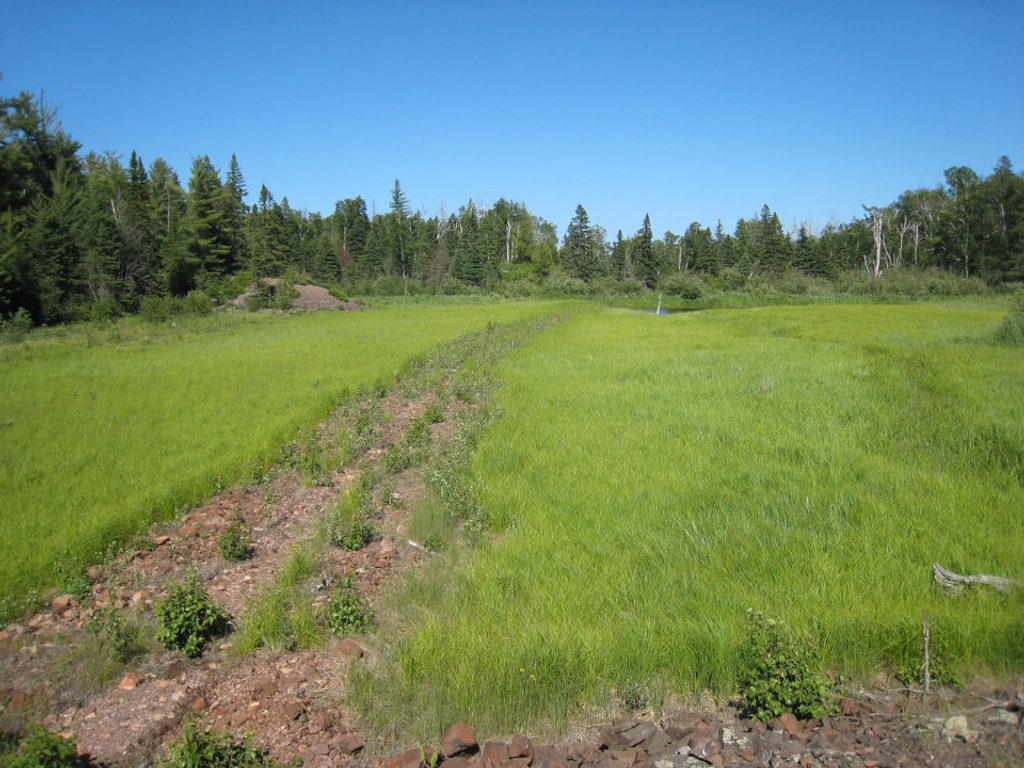 Minong Mine Trail, Isle Royale National Park