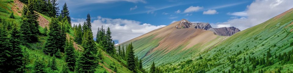 Opal Hills, Jasper National Park