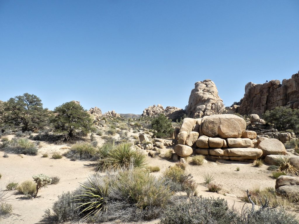 Hidden Valley Nature Trail, Joshua Tree National Park