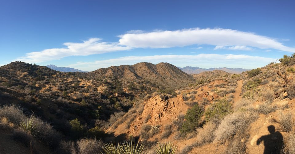 West Side Loop Trail, Joshua Tree National Park