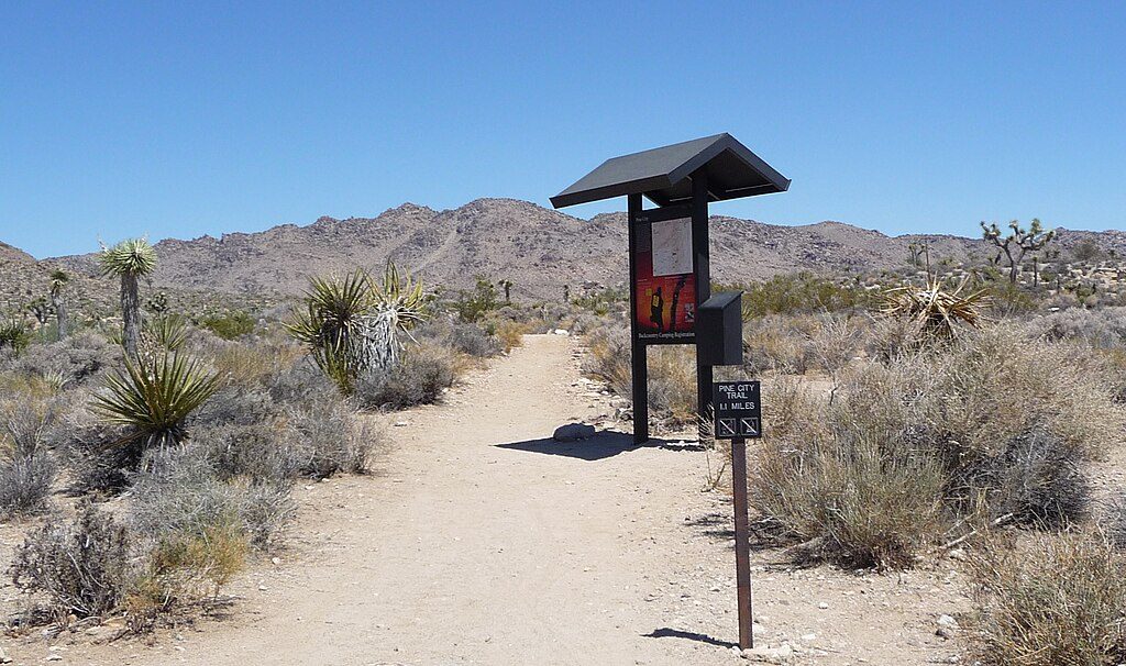 Pine City Trail, Joshua Tree National Park