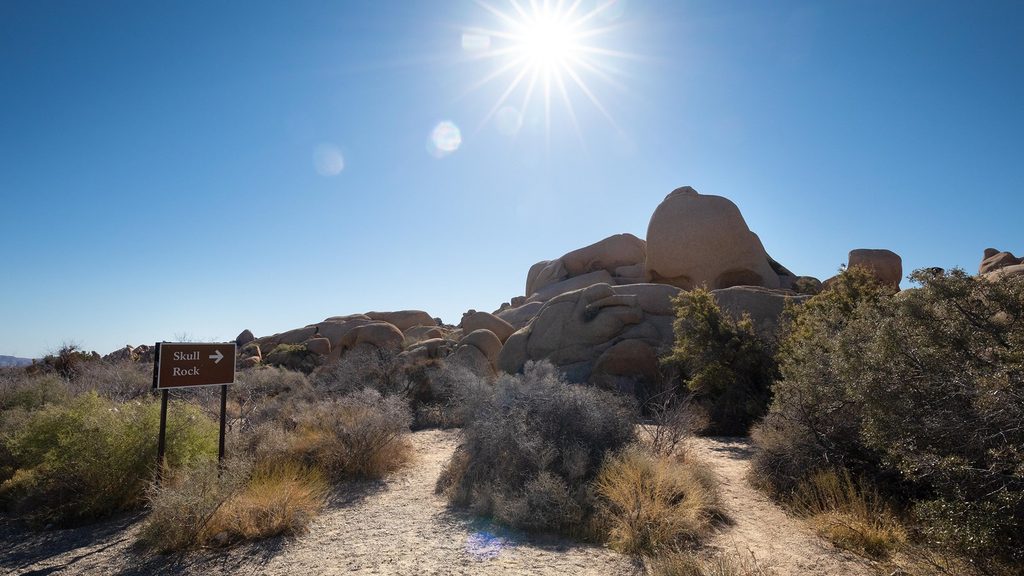 Discovery Trail, Joshua Tree National Park