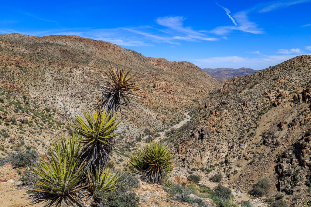 Desert Queen Mine Trail, Joshua Tree National Park