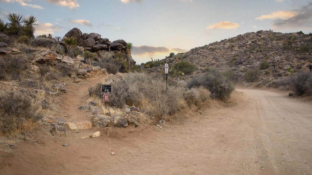 Lost Horse Mine Loop Trail, Joshua Tree National Park