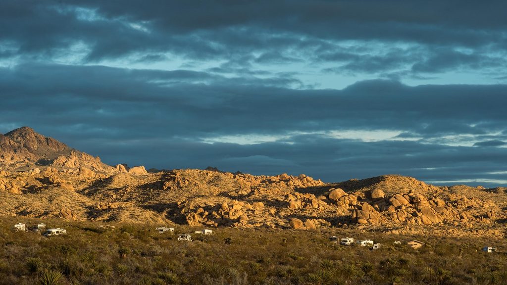 Cottonwood Spring Nature Trail, Joshua Tree National Park