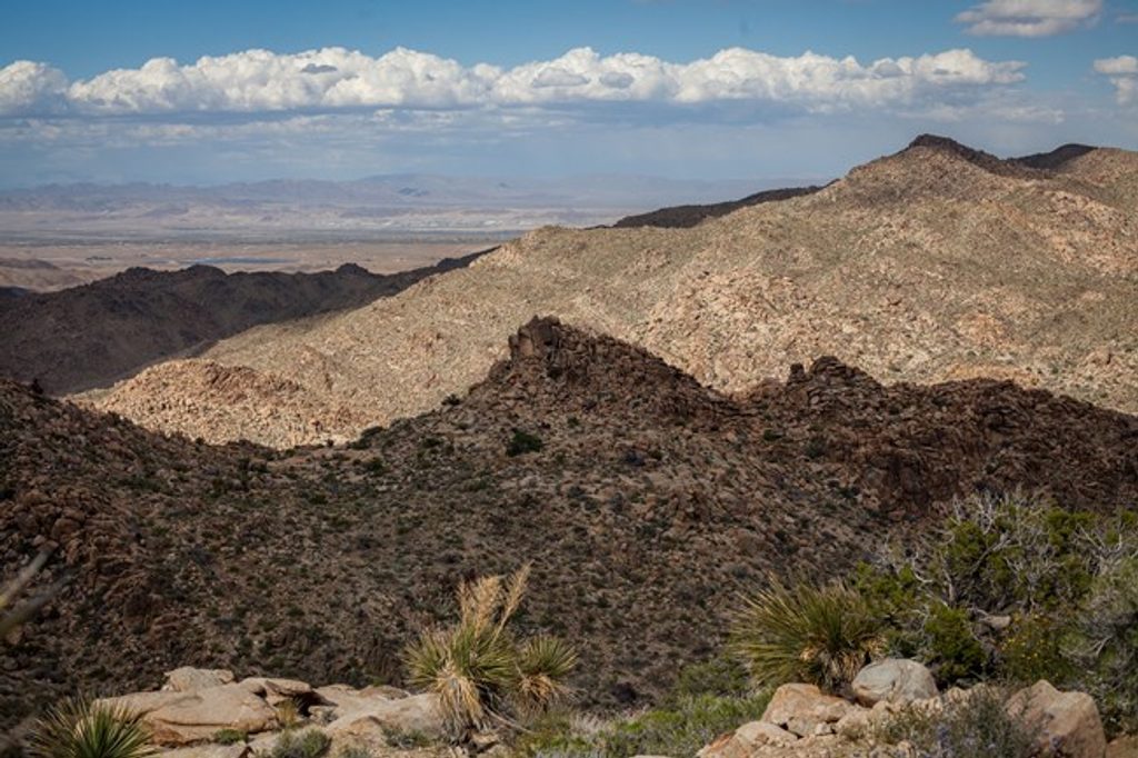 North View Trail, Joshua Tree National Park