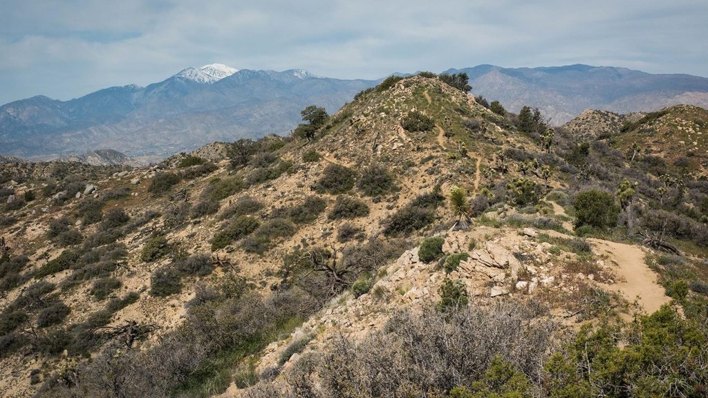 Warren Peak Trail, Joshua Tree National Park