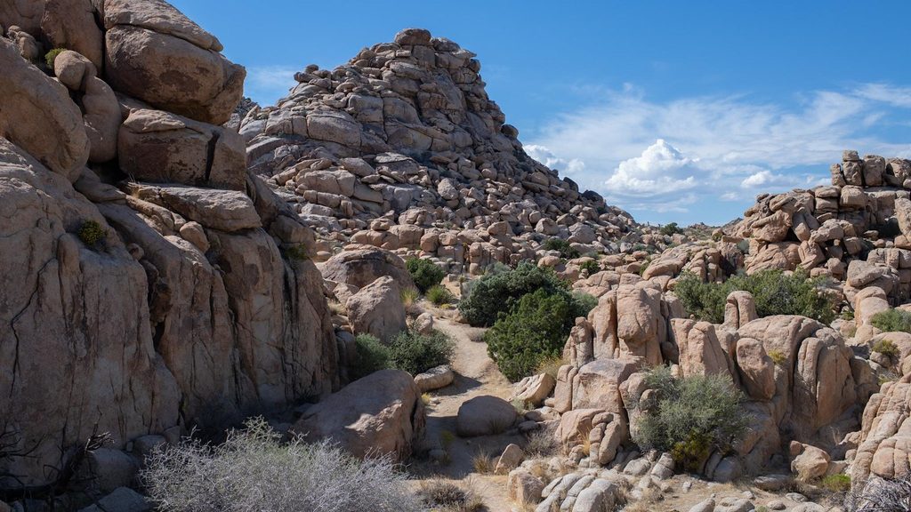Maze Loop Trail, Joshua Tree National Park