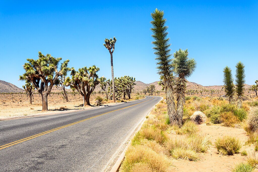 Hall of Horrors Loop, Joshua Tree National Park