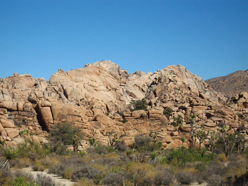 Willow Hole Trail, Joshua Tree National Park