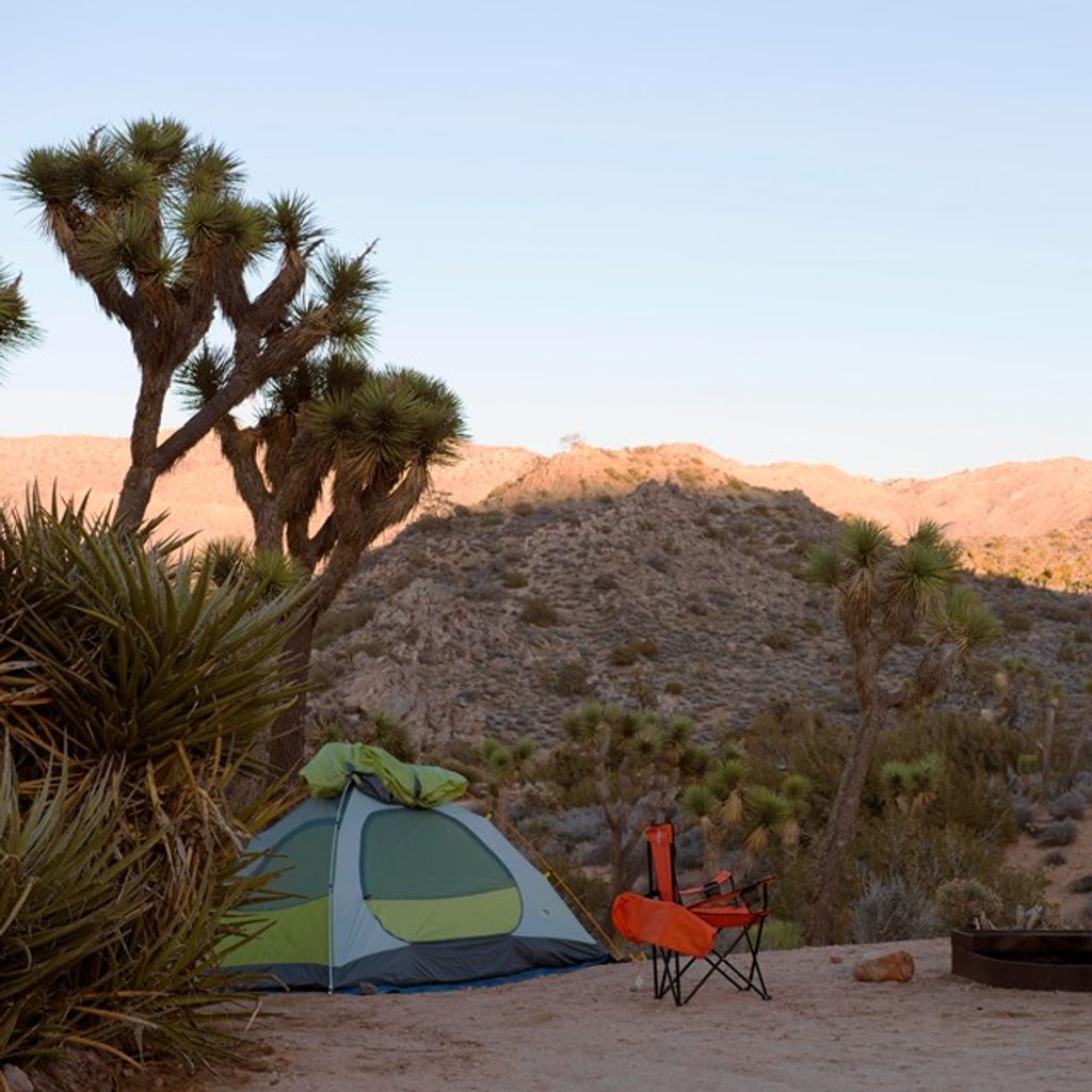 Black Rock Canyon Trail, Joshua Tree National Park