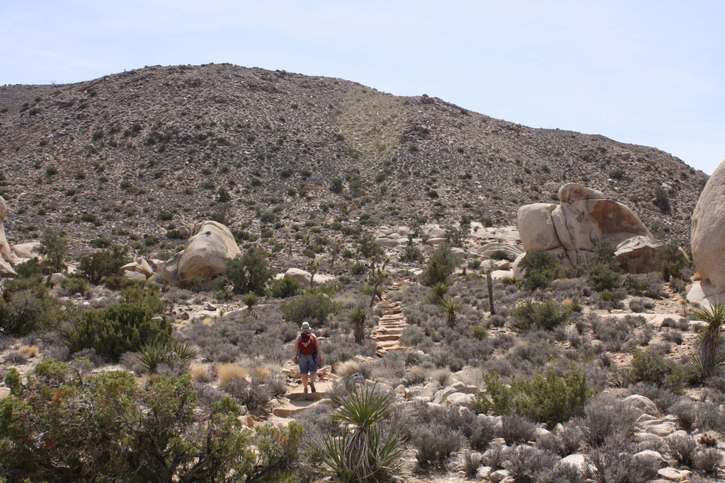 Ryan Mountain Trail, Joshua Tree National Park