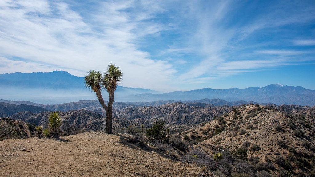 Eureka Peak Trail, Joshua Tree National Park