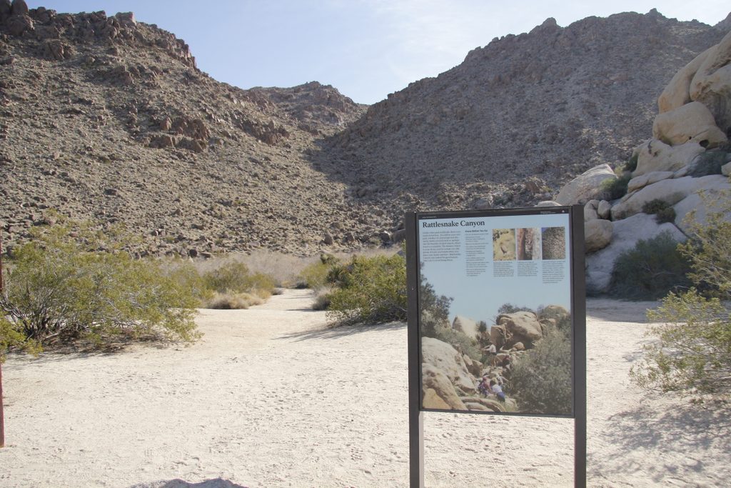 Rattlesnake Canyon Trail, Joshua Tree National Park