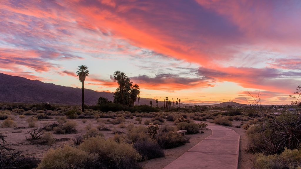 Oasis of Mara Trail, Joshua Tree National Park