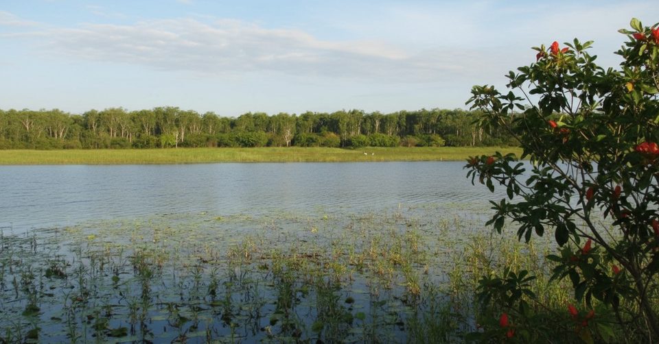 Bubba Wetlands Walk, Kakadu National Park