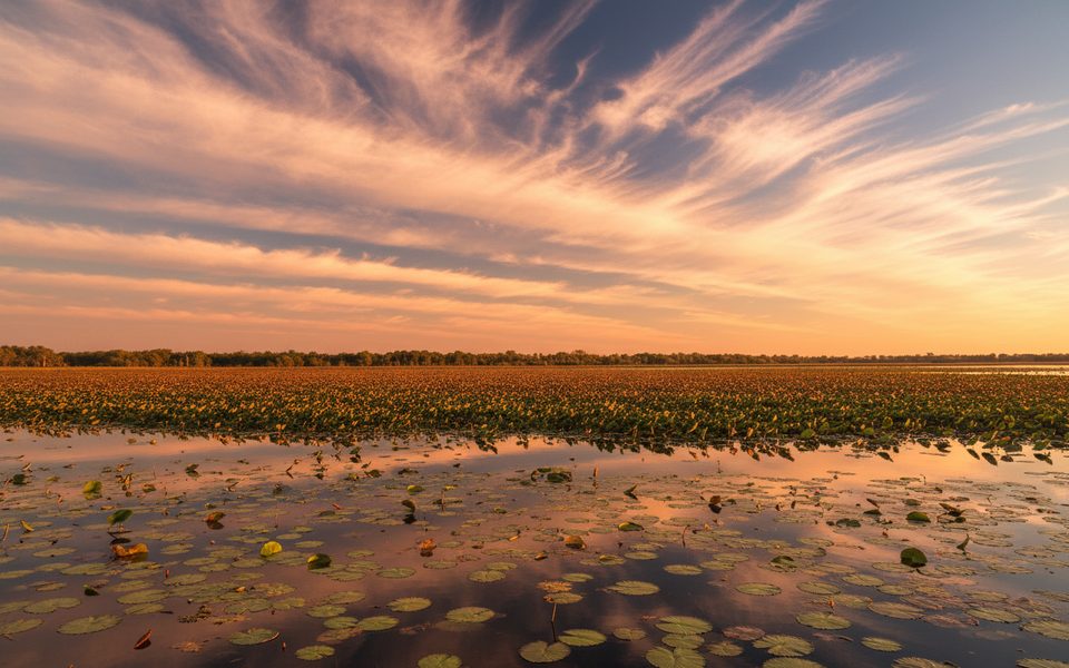 Mamukala Wetlands Walk, Kakadu National Park