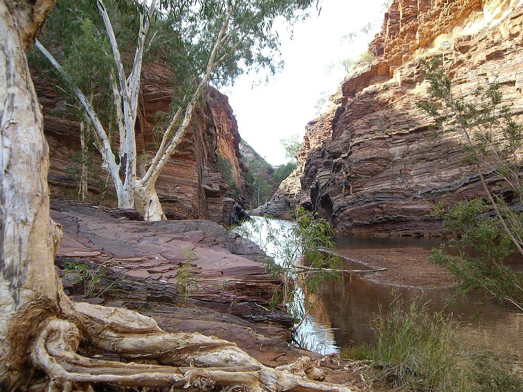 Hamersley Gorge Spa Pool Track, Karijini National Park