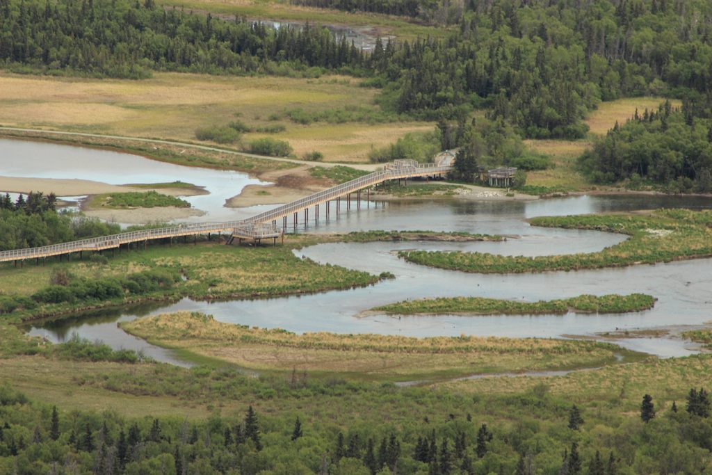 Brooks River Elevated Boardwalk, Katmai National Park