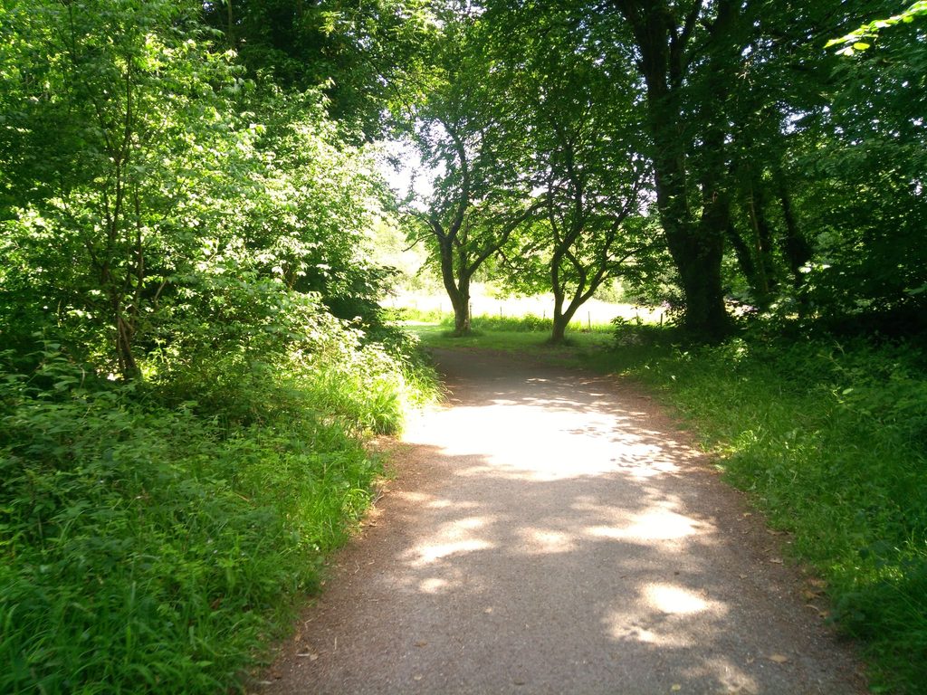 Muckross Abbey Loop, Killarney National Park
