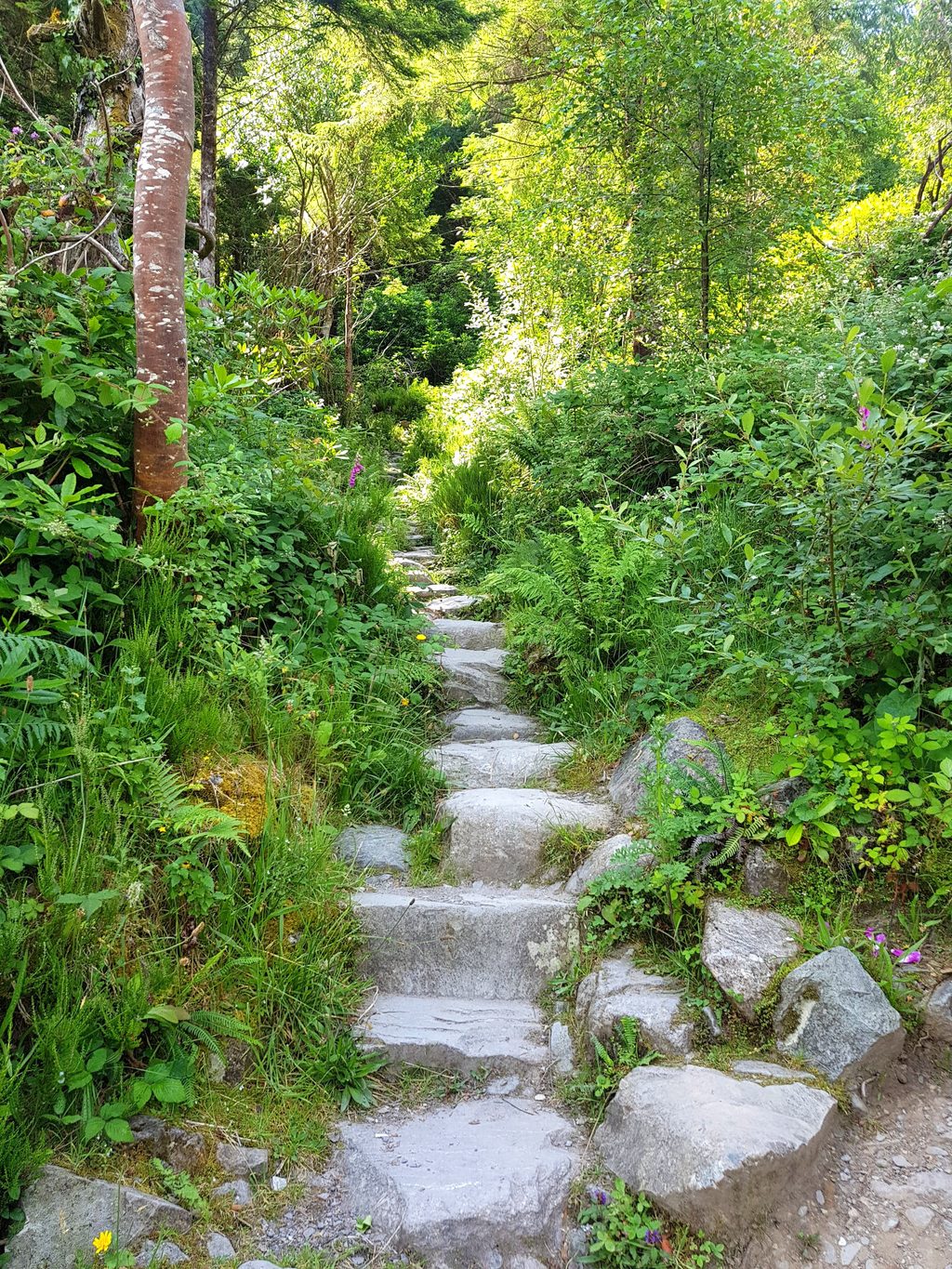 Cardiac Hill (Cardiac Steps), Killarney National Park