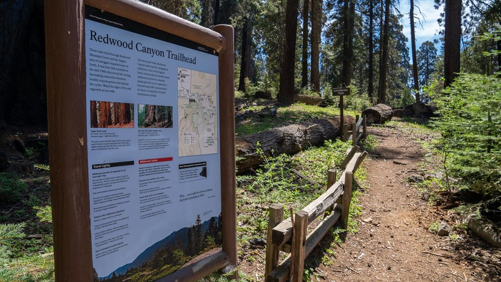 Redwood Canyon Trail, Kings Canyon National Park