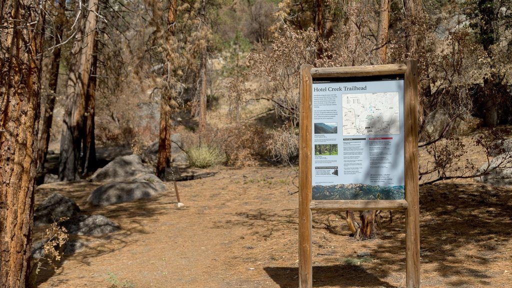 Hotel Creek Trail, Kings Canyon National Park