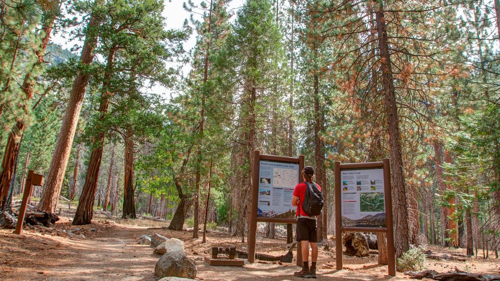 Bubbs Creek Trail, Kings Canyon National Park
