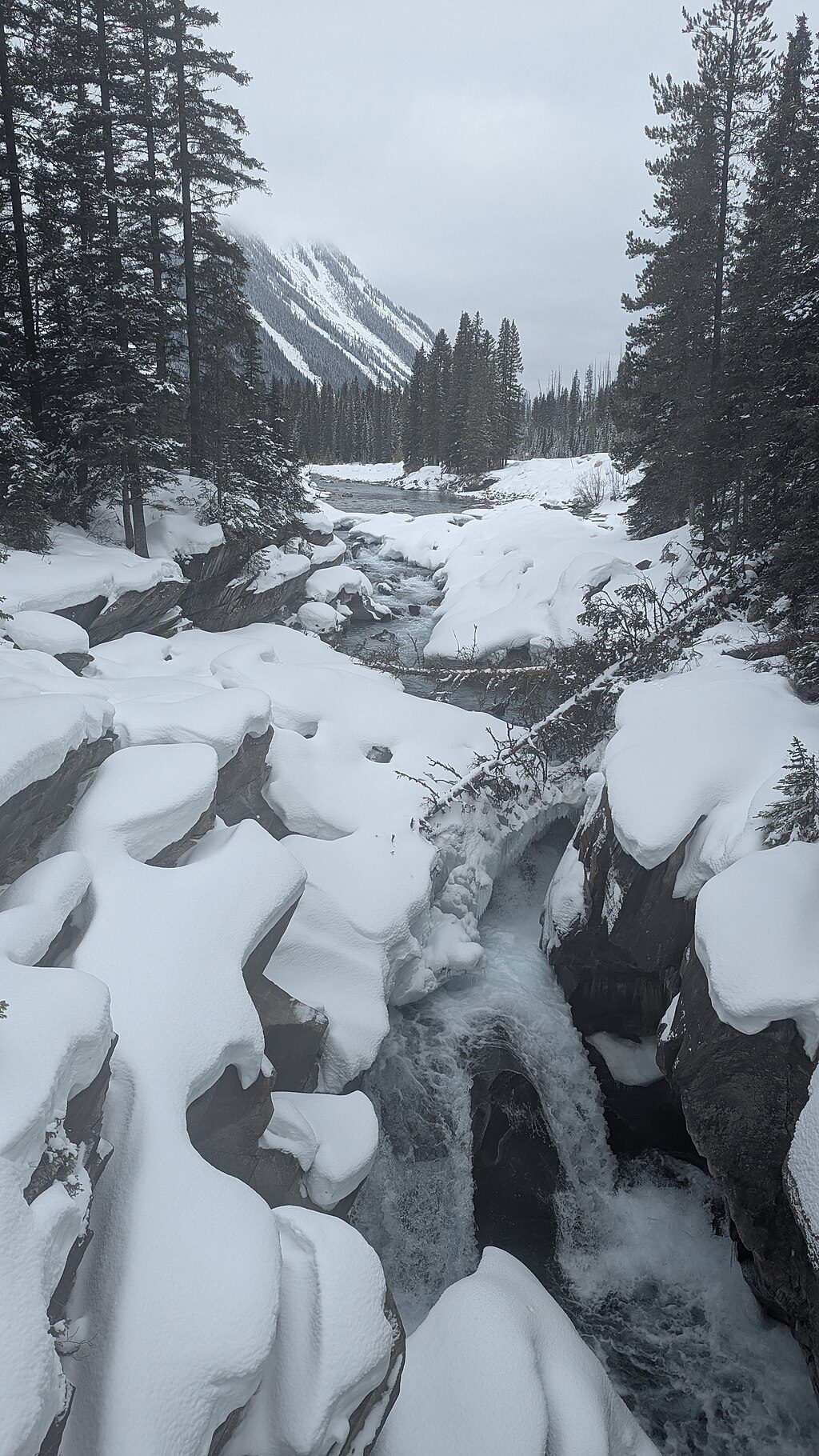 Numa Falls Trail, Kootenay National Park