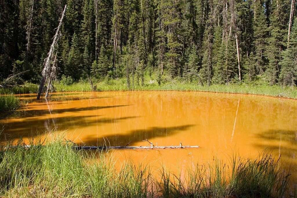 Paint Pots Trail, Kootenay National Park
