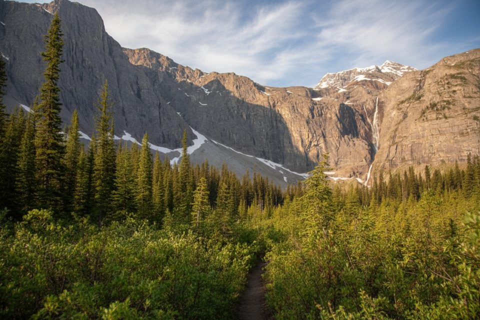 Tumbling Creek Trail, Kootenay National Park