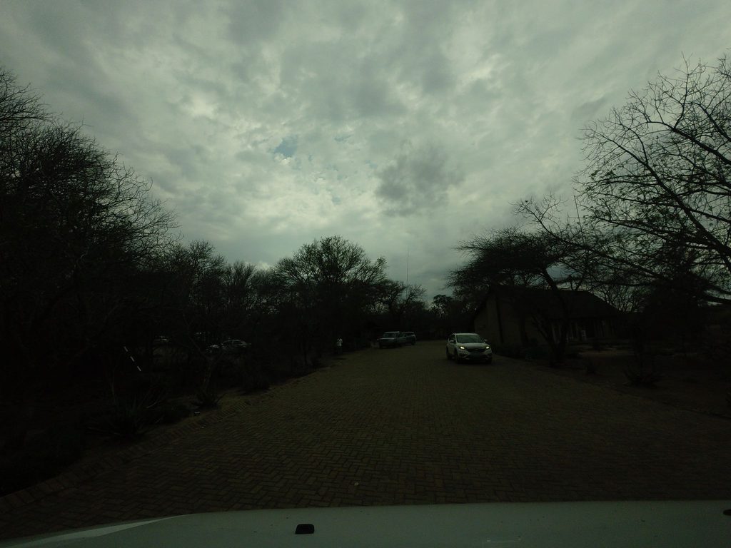 Orpen's morning walk, Kruger National Park