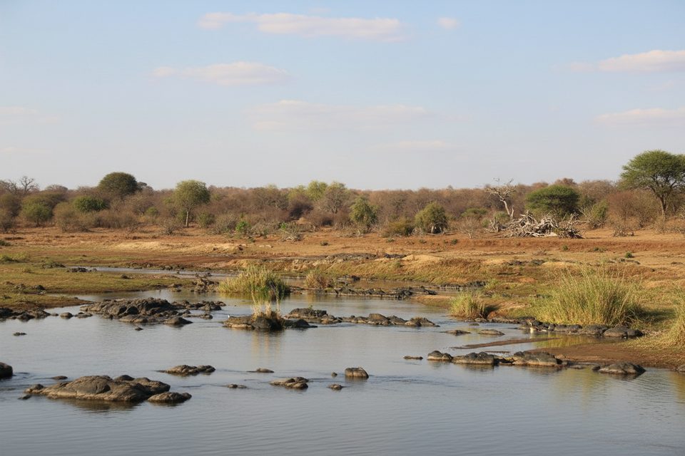 Olifants short walk, Kruger National Park