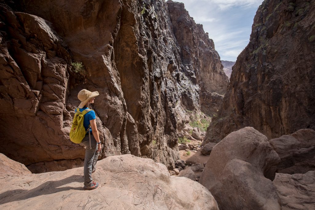 Goldstrike Canyon, Lake Mead National Recreation Area