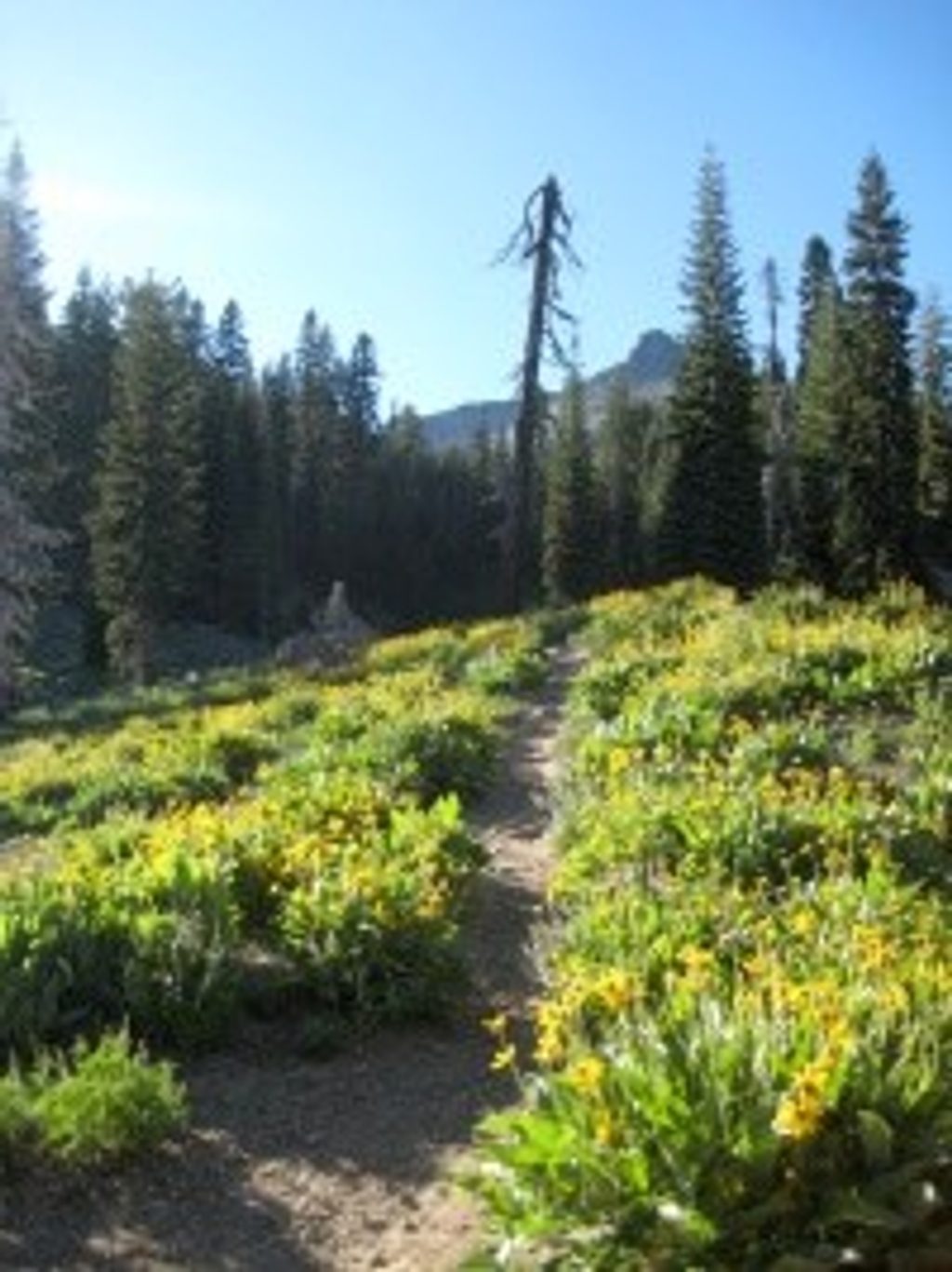 Ridge Lakes Trail, Lassen Volcanic National Park