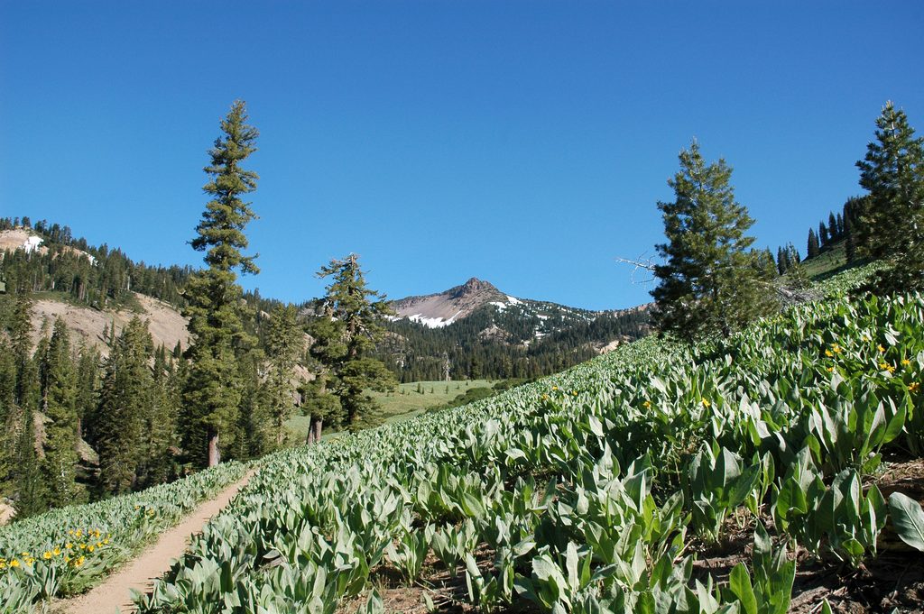 Mill Creek Falls Trail, Lassen Volcanic National Park